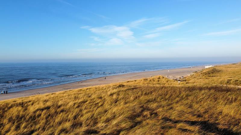 JOMO aan zee - LekkerNaarZee Callantsoog